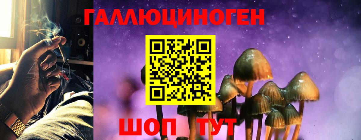 Уссурийск  Галлюциногенные грибы MAGIC MUSHROOMS  Галлюциногенные грибы мицелий  Вход с VPN 